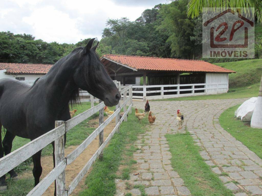 Sítio à venda com 4 quartos, 121000M2 - Foto 2