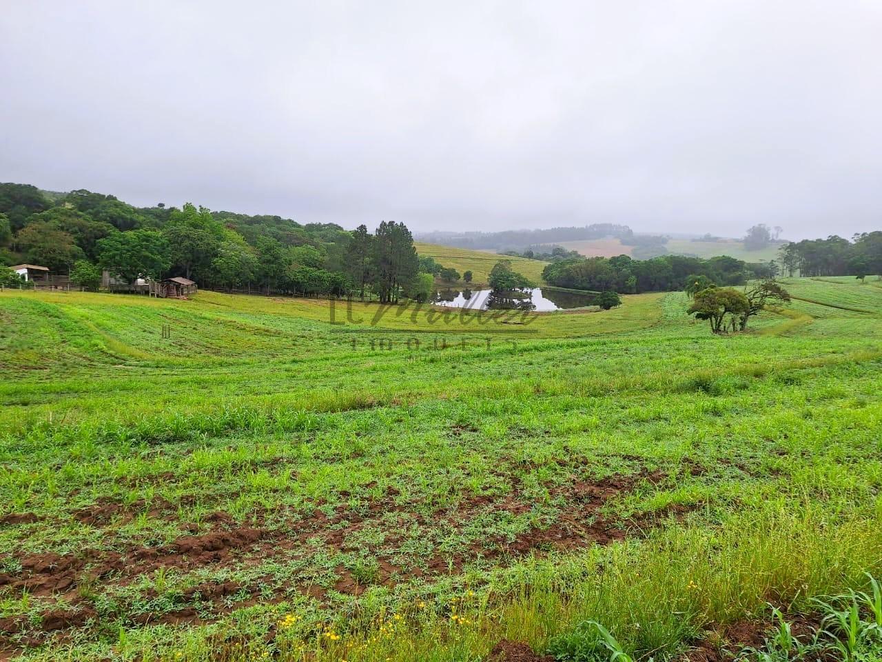 Fazenda à venda, 59m² - Foto 3