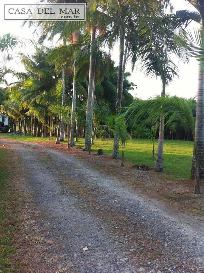 Fazenda à venda com 5 quartos, 160m² - Foto 16