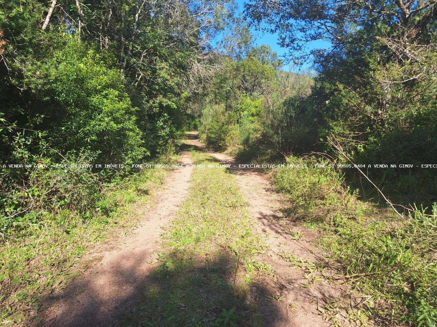 Loteamento e Condomínio à venda, 20000m² - Foto 14