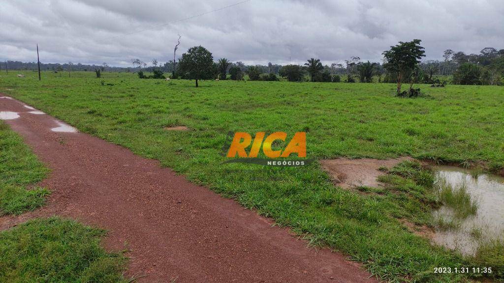 Fazenda-Sítio-Chácara, 528 hectares - Foto 4