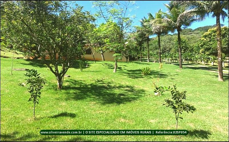 Fazenda à venda com 5 quartos, 20000m² - Foto 10