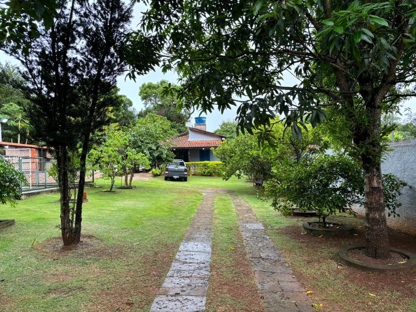 Fazenda à venda com 3 quartos, 1000m² - Foto 3