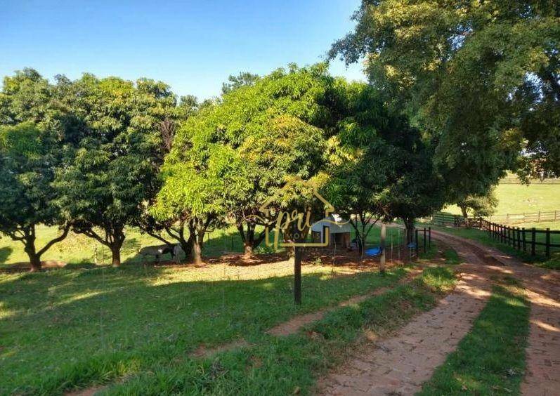 Fazenda à venda com 3 quartos, 1000m² - Foto 24