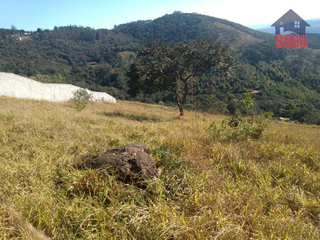 Terreno à venda, 2000M2 - Foto 2