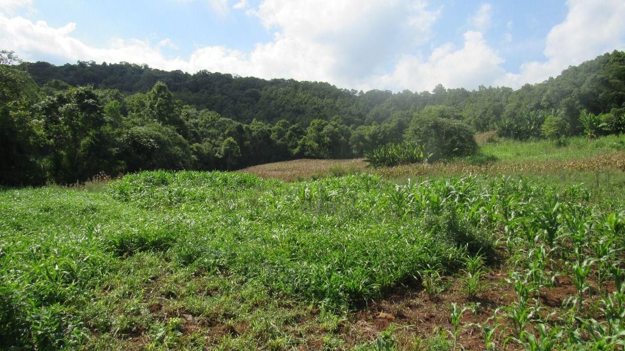 Loteamento e Condomínio à venda, 103000m² - Foto 39