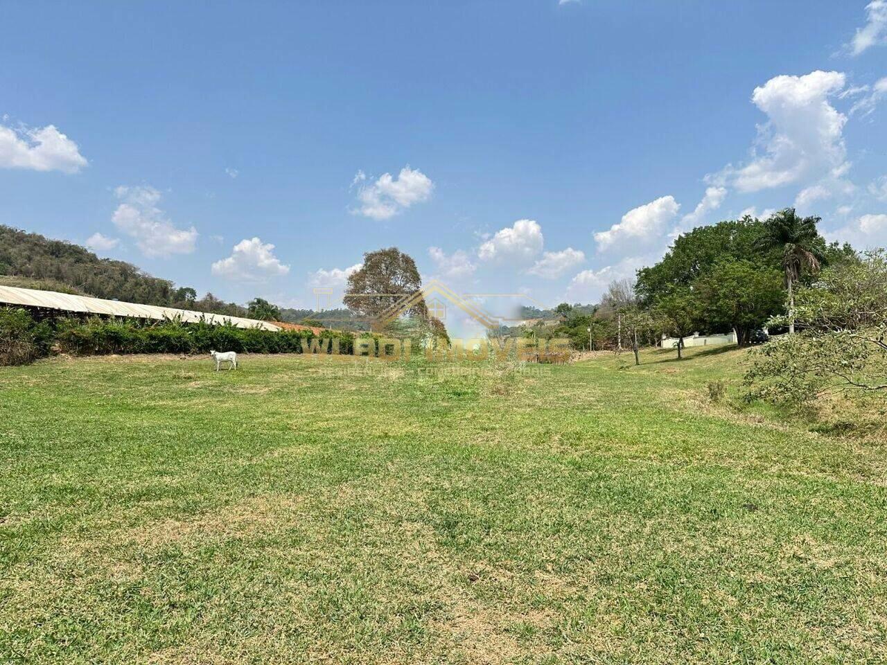 Fazenda à venda com 3 quartos, 14m² - Foto 7