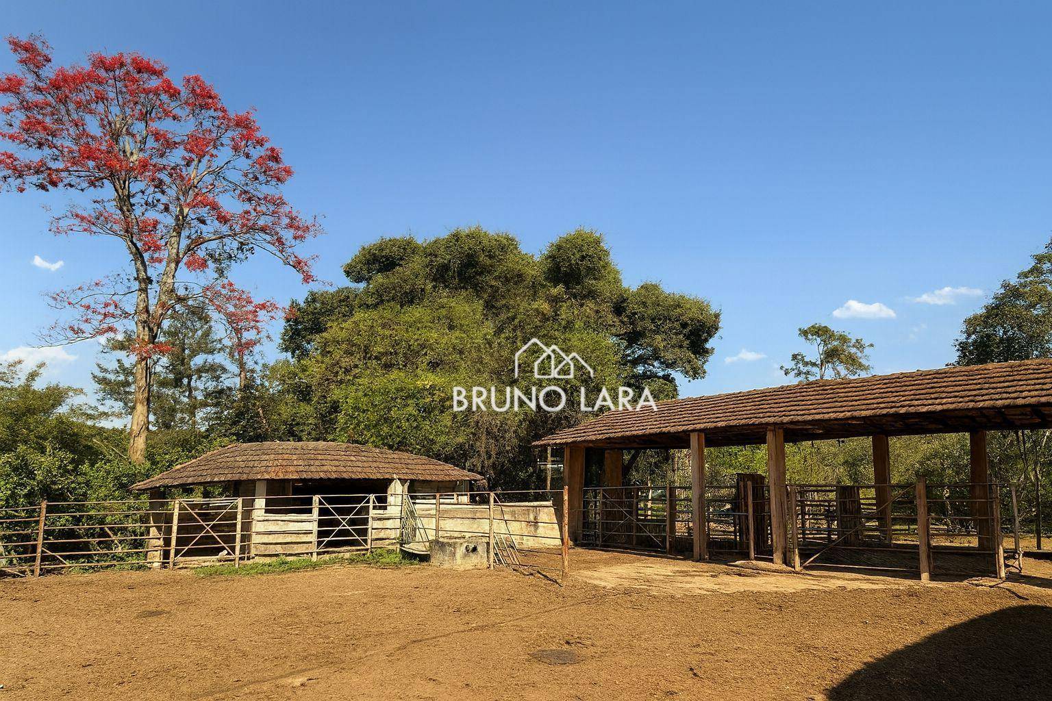 Sítio, 4 quartos, 15 hectares - Foto 4