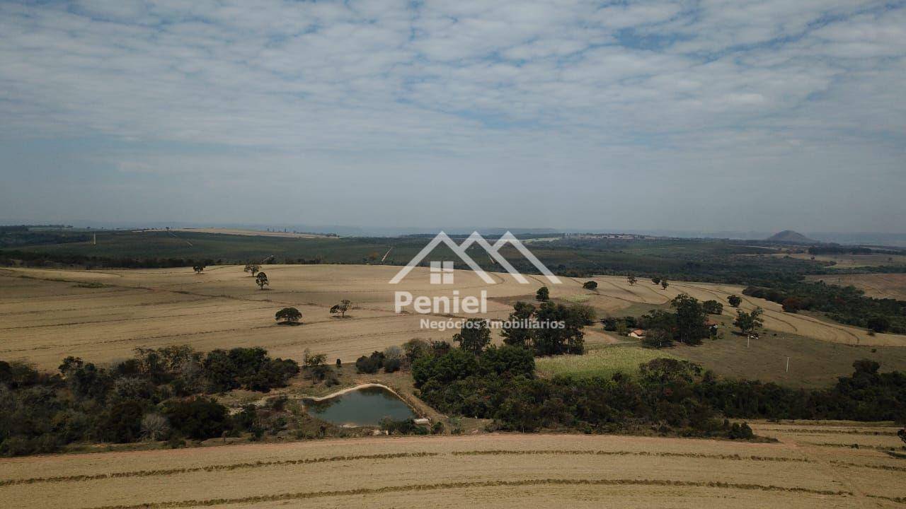 Fazenda-Sítio-Chácara, 456 hectares - Foto 2
