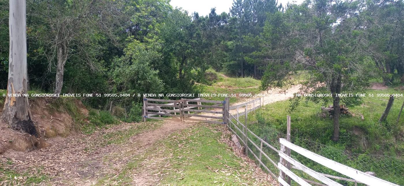 Fazenda à venda com 4 quartos, 130000m² - Foto 31