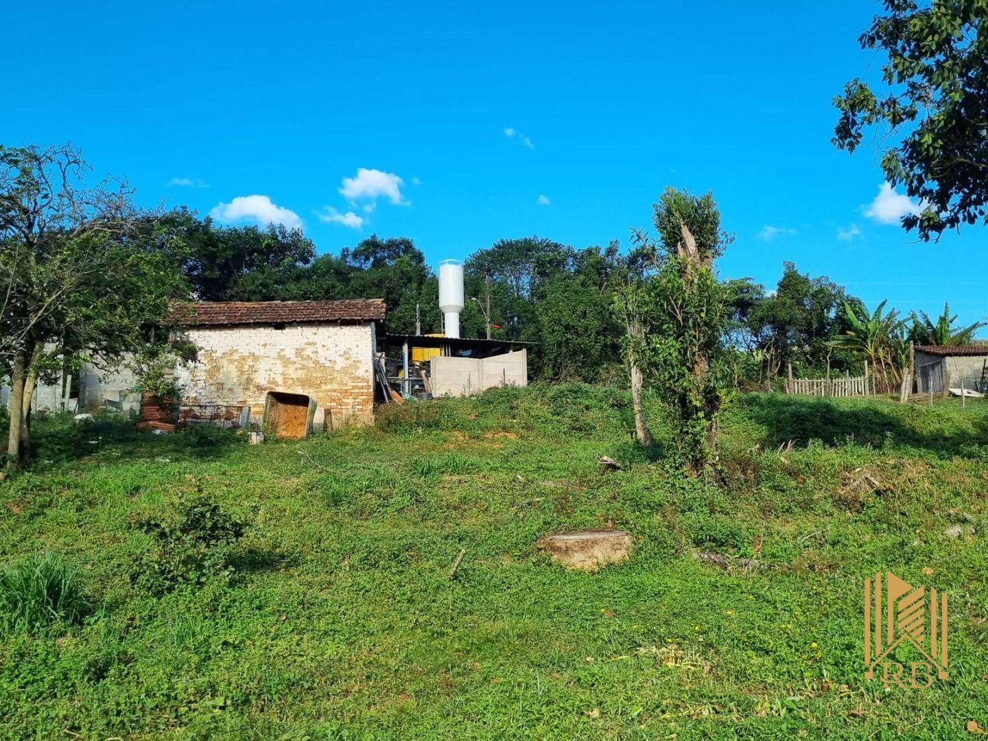 Chácara, 7000 m² - Foto 7