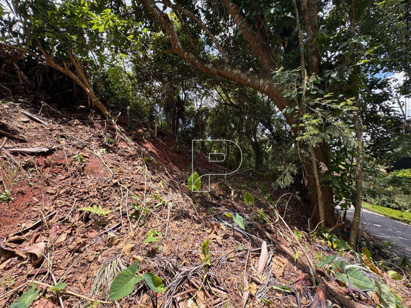 Loteamento e Condomínio, 235 m² - Foto 3