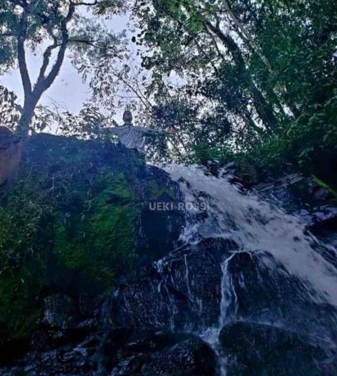 Sítio, 53 hectares - Foto 4