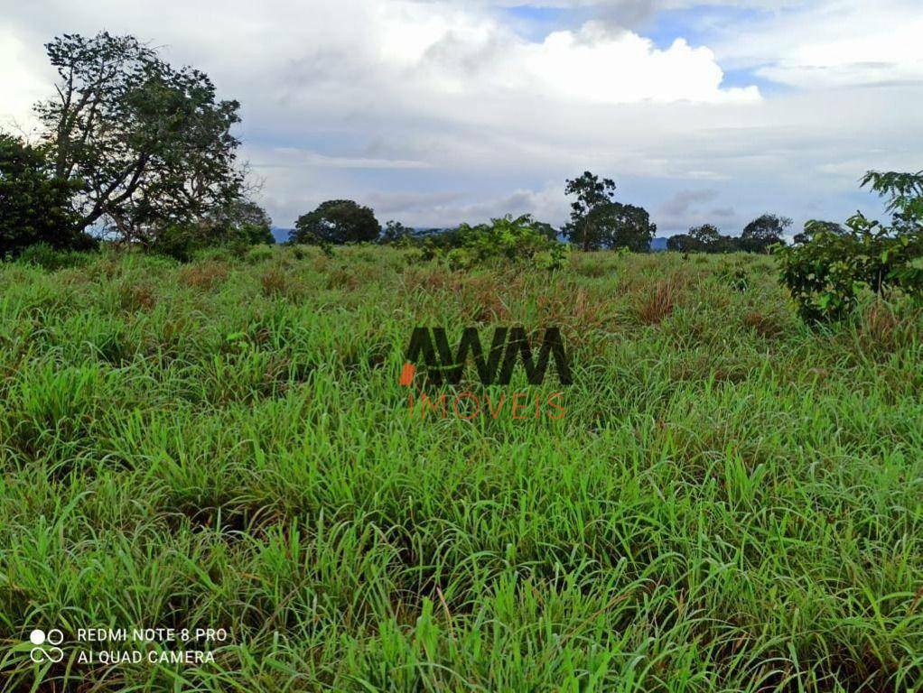 Fazenda à venda, 8760400M2 - Foto 30