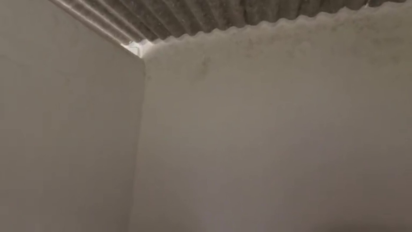 Casa de Condomínio à venda com 2 quartos, 7000m² - Foto 9