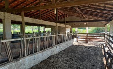 Fazenda à venda com 3 quartos, 110000m² - Foto 16