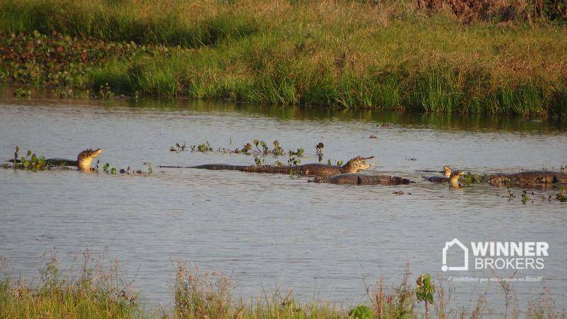 Flat/Apart Hotel, 20 quartos, 20000 m² - Foto 28