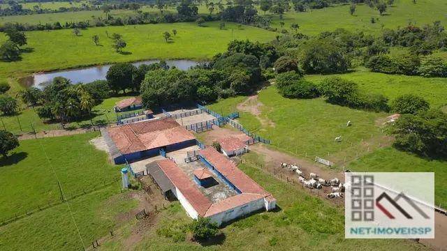 Fazenda à venda com 5 quartos, 500m² - Foto 2