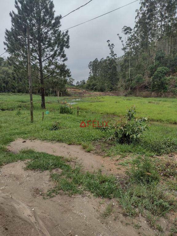 Fazenda à venda com 3 quartos, 1400000M2 - Foto 10