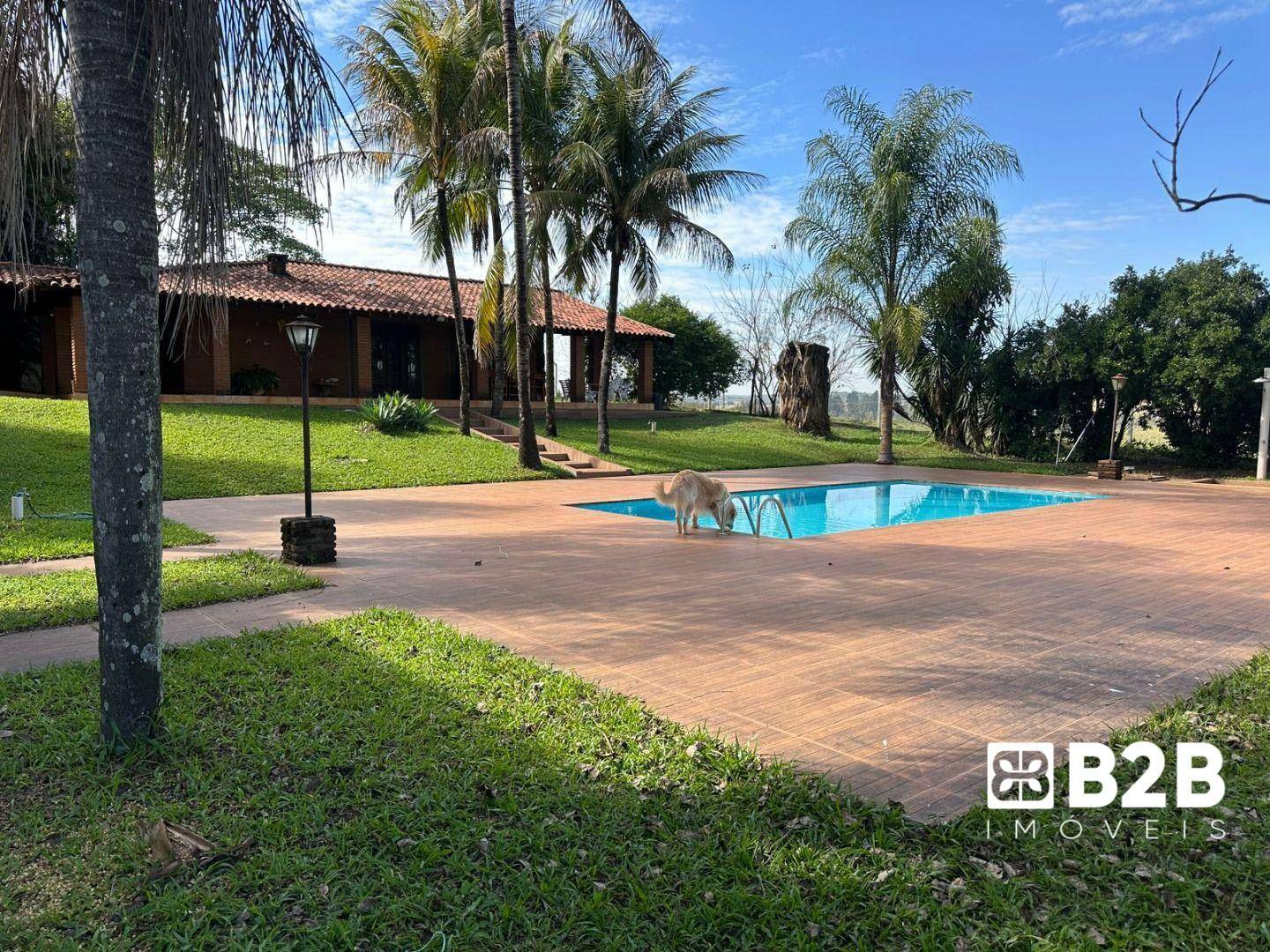 Sítio à venda com 6 quartos, 600m² - Foto 21