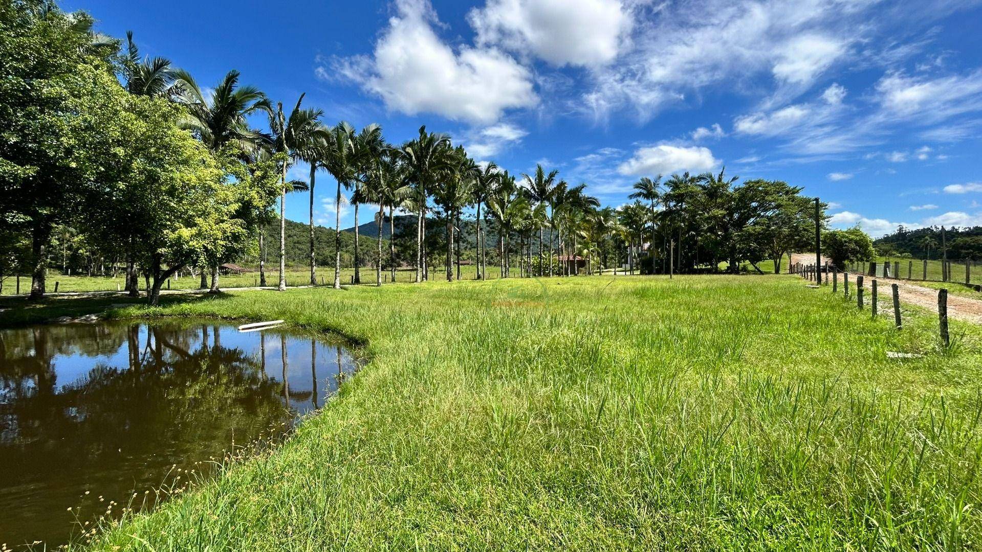 Chácara, 2 hectares - Foto 77