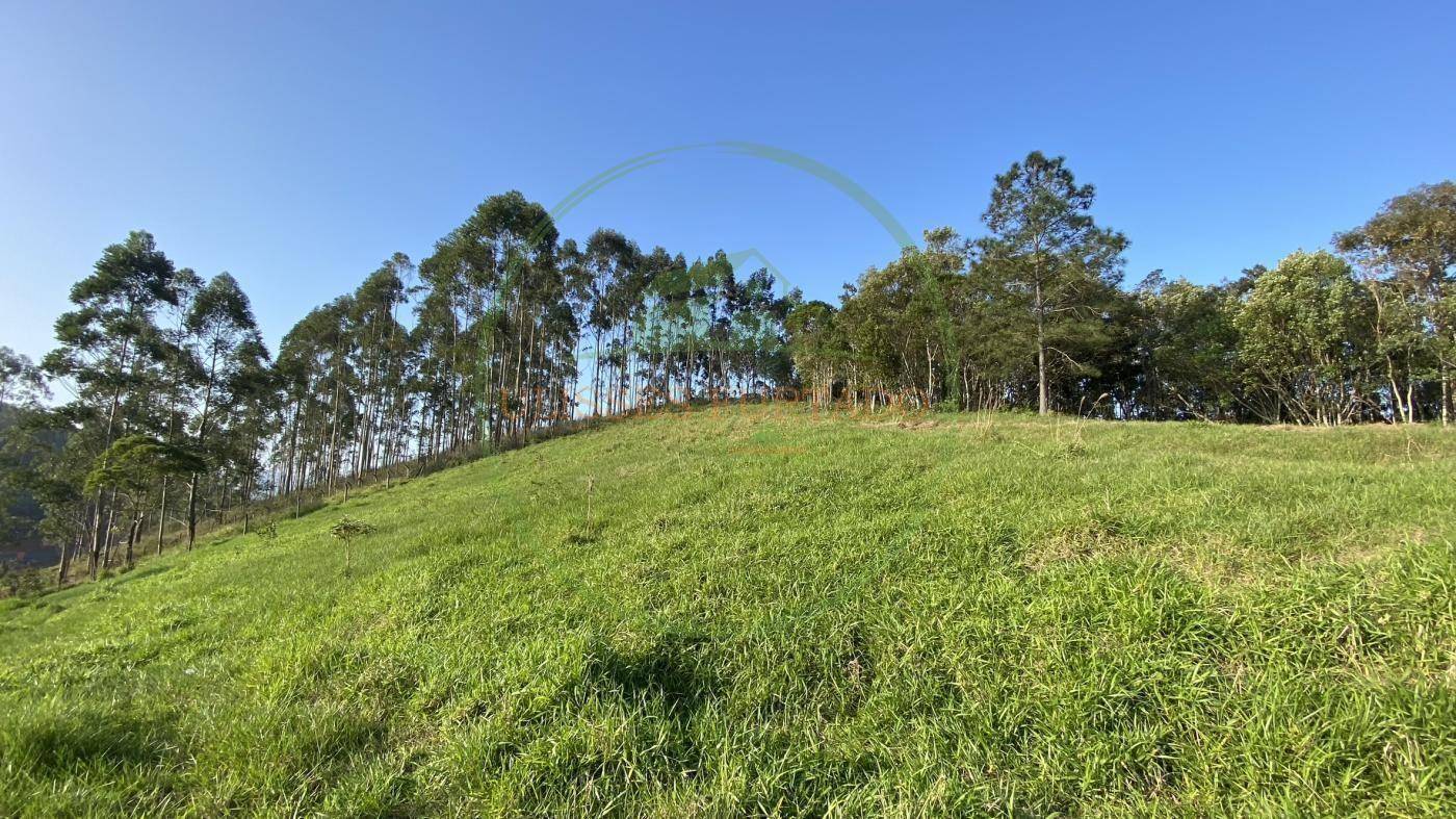 Sítio, 60 m² - Foto 10