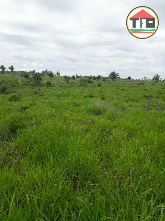 Fazenda à venda, 1597200M2 - Foto 2