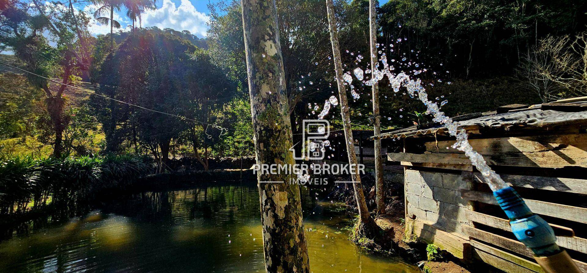 Sítio à venda com 4 quartos, 500m² - Foto 41