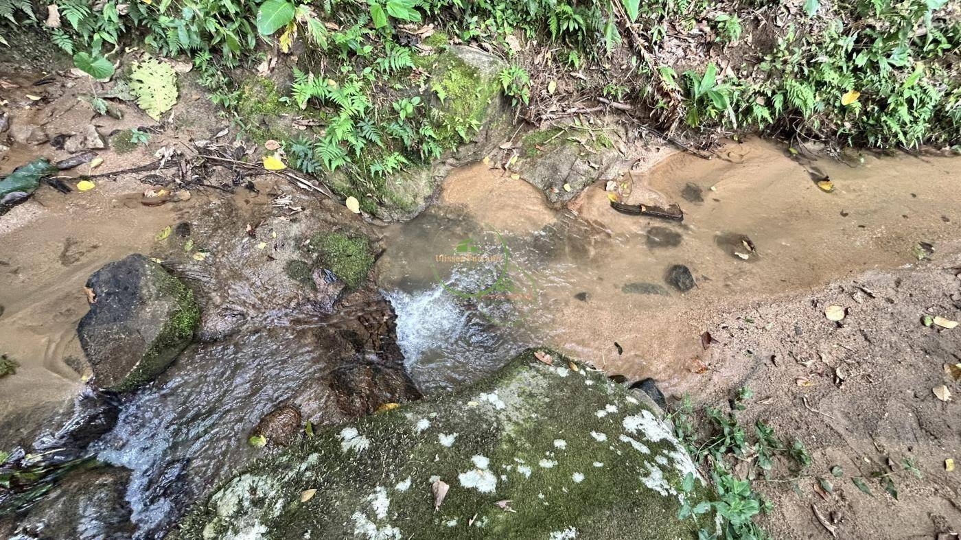 Terreno, 1800 m² - Foto 6