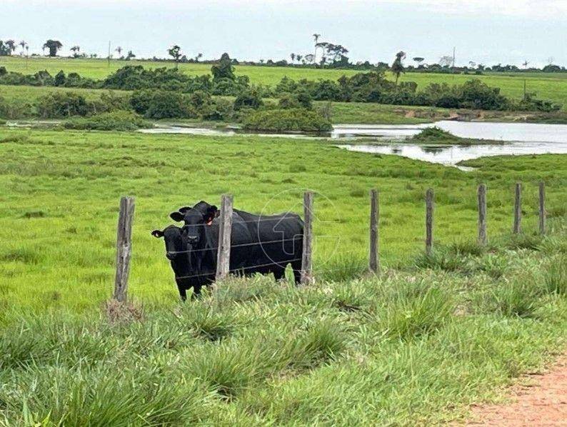 Fazenda à venda, 171250000M2 - Foto 12