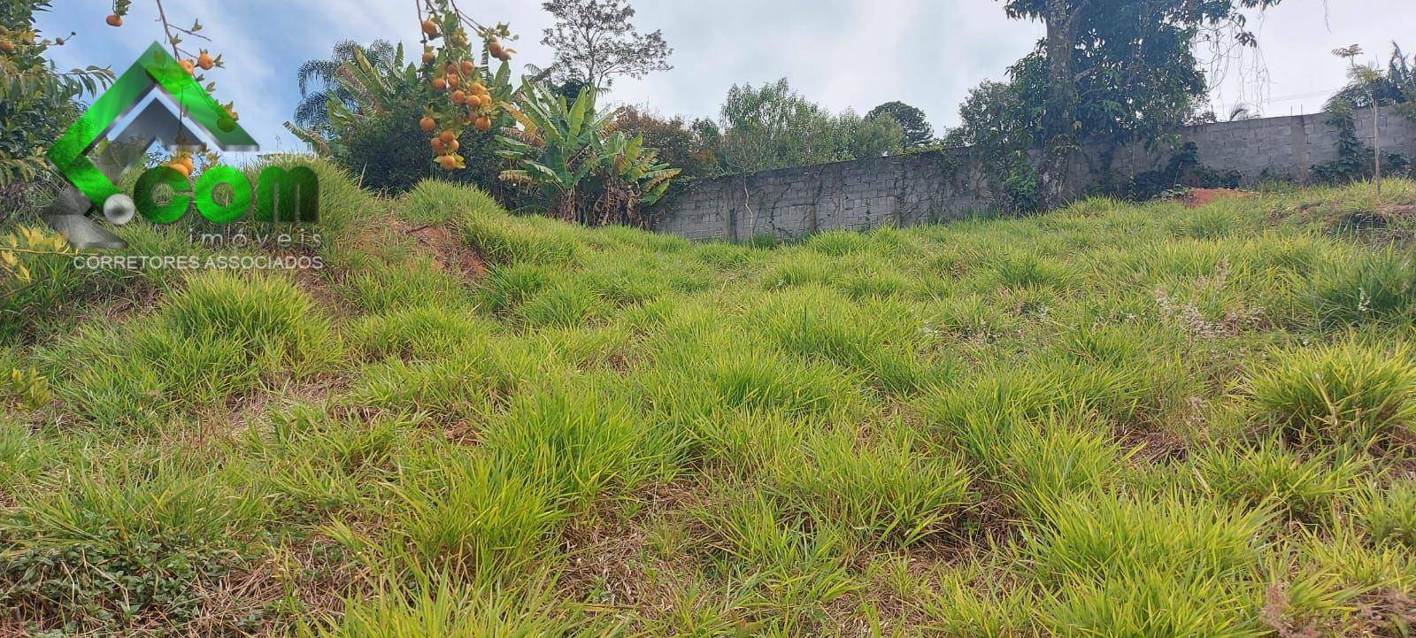 Terreno à venda, 361M2 - Foto 7