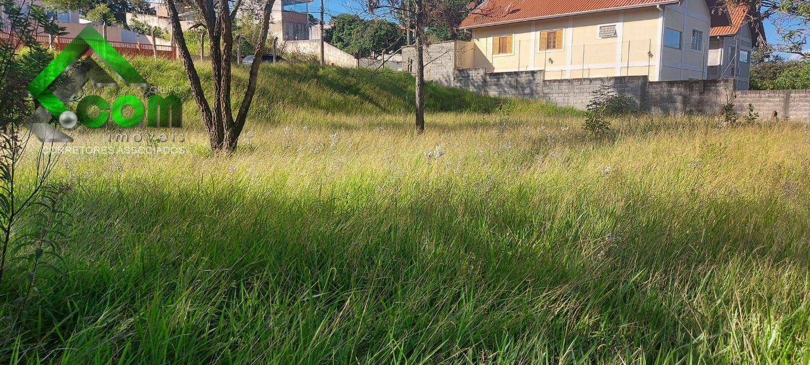 Terreno à venda, 250M2 - Foto 3