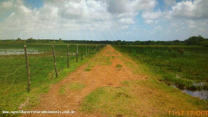 Fazenda à venda com 3 quartos, 170m² - Foto 16