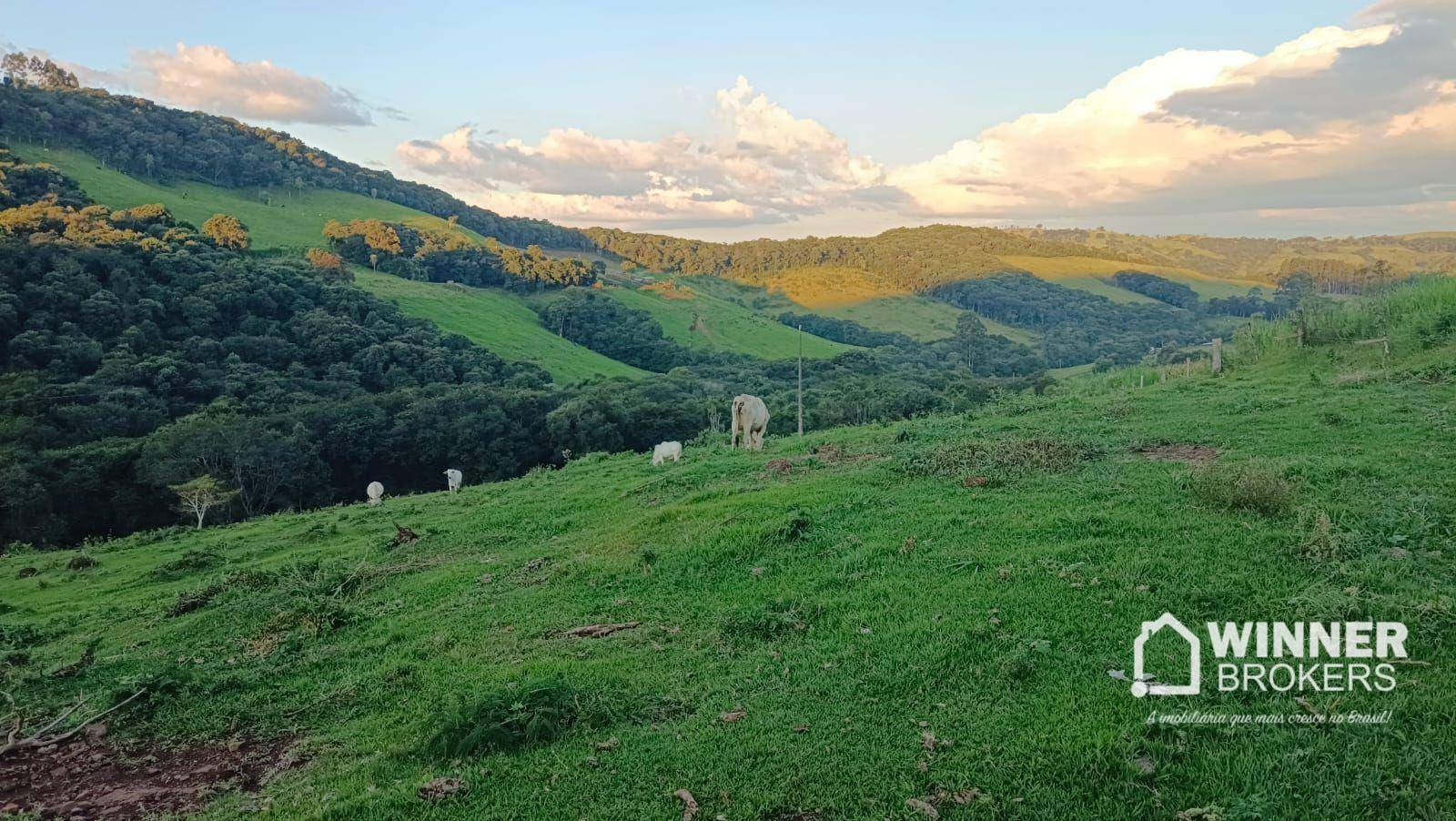 Sítio, 4 quartos, 34 hectares - Foto 18