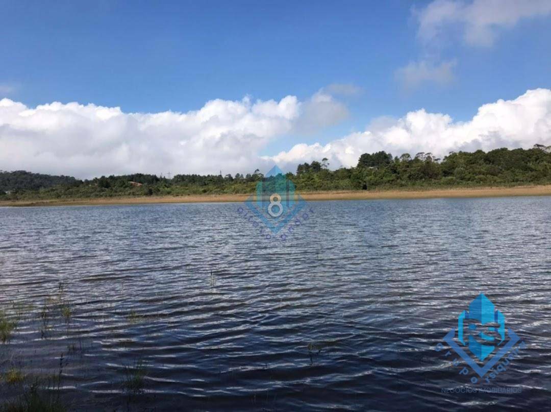 Chácara à venda com 3 quartos, 7200M2 - Foto 23