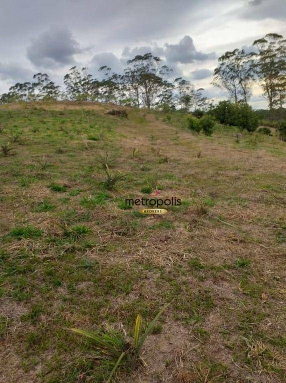 Terreno à venda, 27000M2 - Foto 7