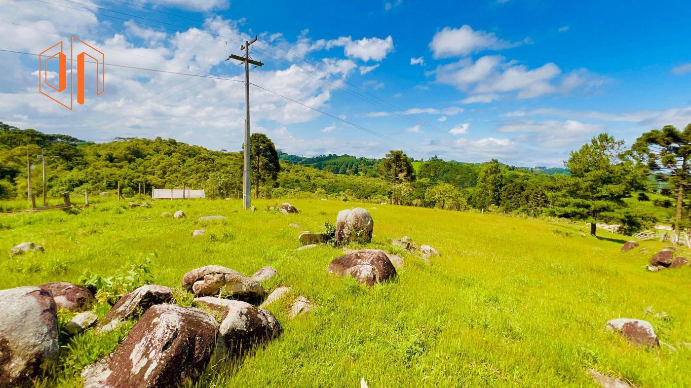 Fazenda à venda, 9700m² - Foto 6