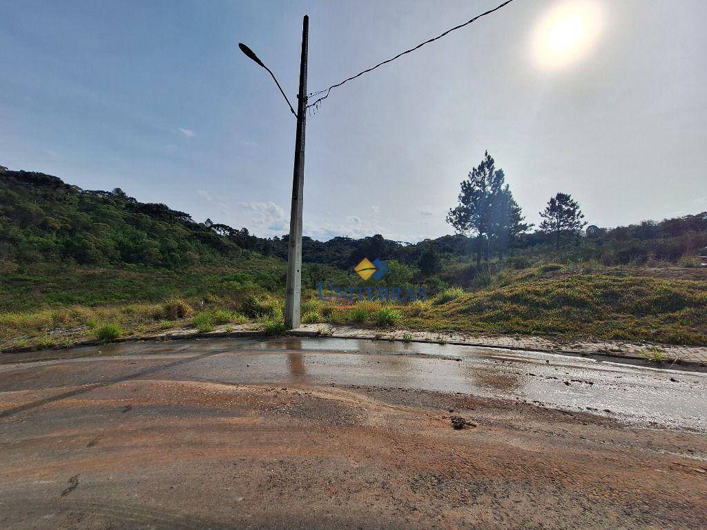 Terreno à venda, 575M2 - Foto 2