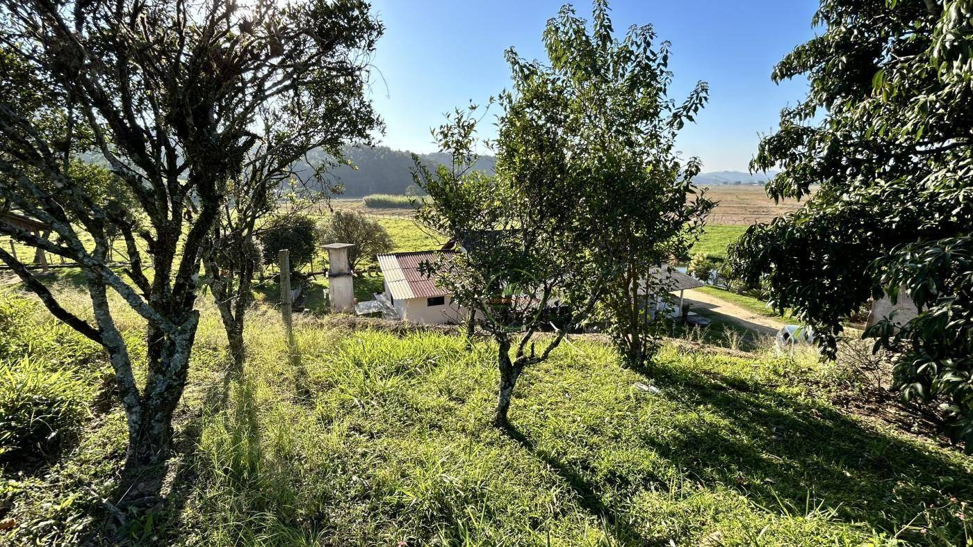 Terreno, 12 hectares - Foto 2