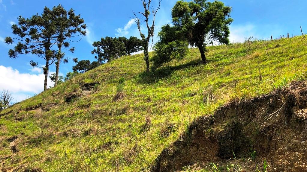 Sítio à venda com 2 quartos, 37800m² - Foto 26
