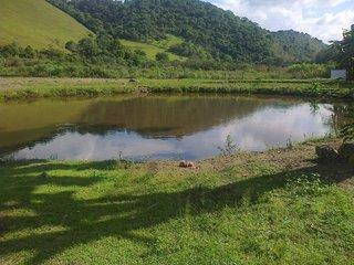 Fazenda à venda com 3 quartos, 33000m² - Foto 16