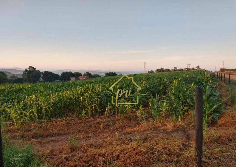 Fazenda à venda com 3 quartos, 1000m² - Foto 15