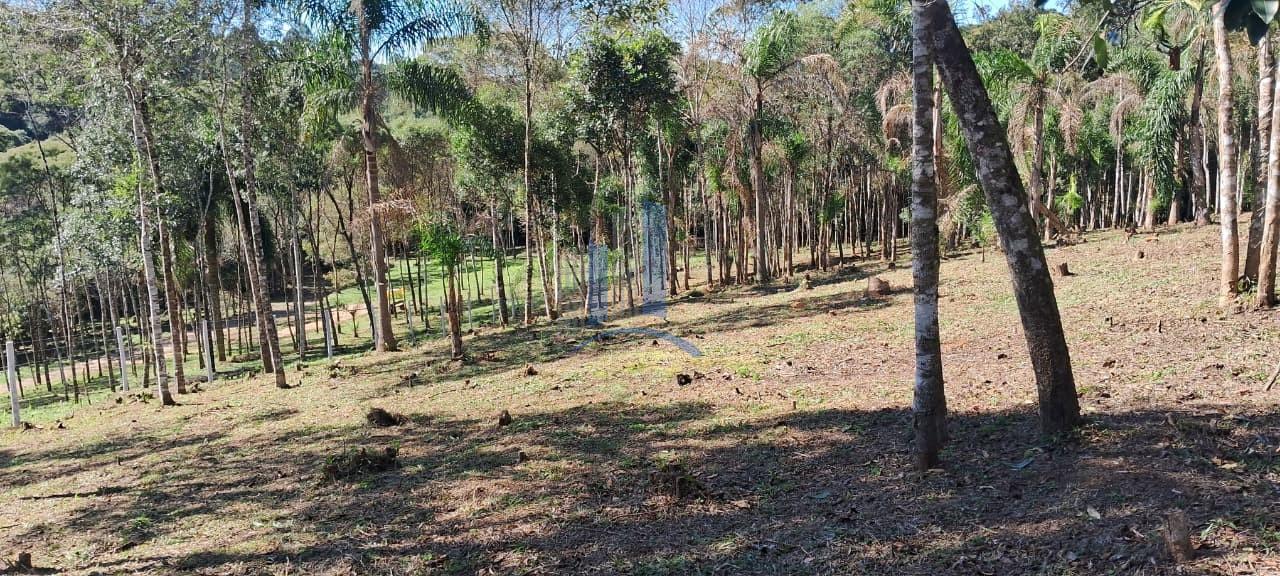 Chácara à venda, 5000m² - Foto 23