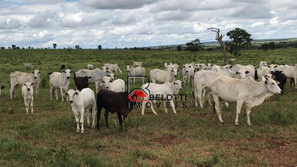 Fazenda à venda, 21973600M2 - Foto 10