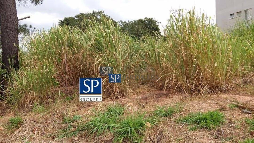 Terreno, 2514 m² - Foto 3