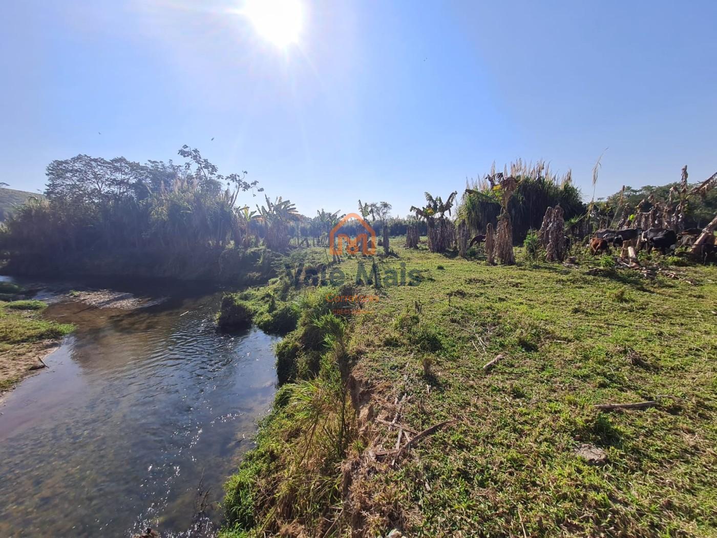 Fazenda-Sítio-Chácara, 7 hectares - Foto 1