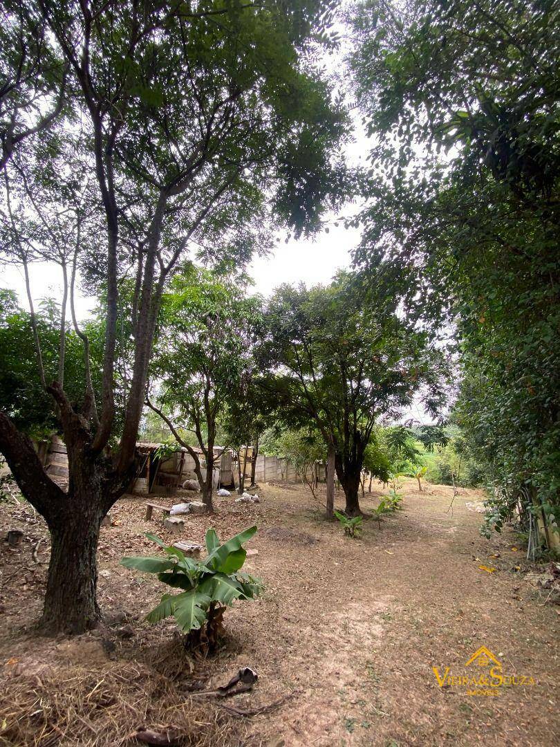 Chácara à venda com 3 quartos, 2010M2 - Foto 14