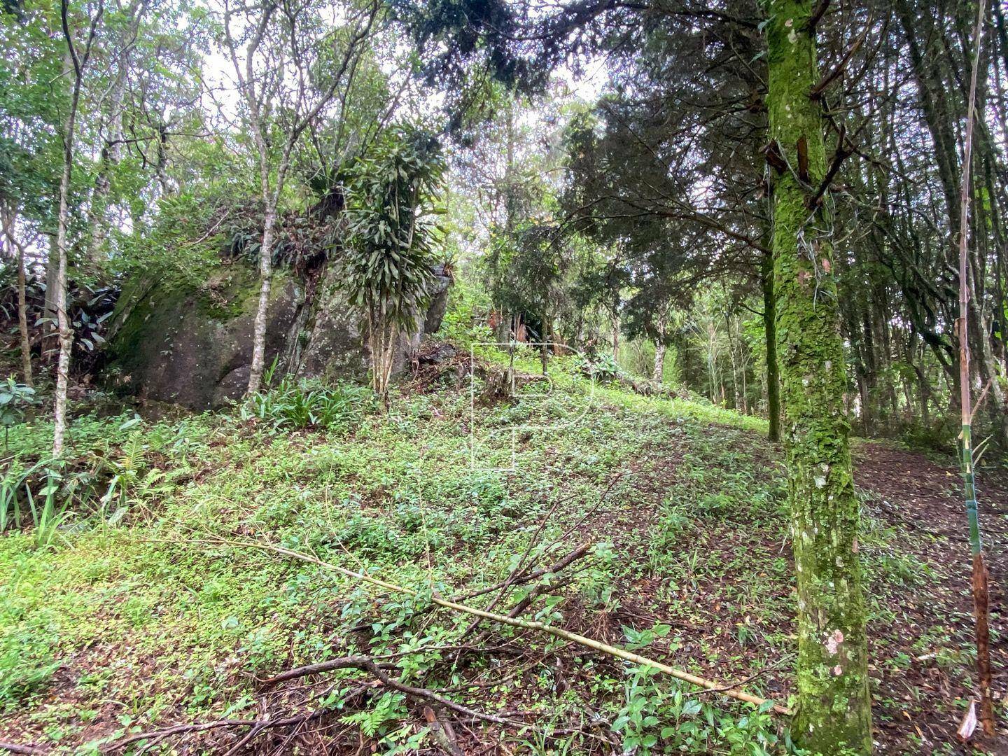 Terreno à venda, 3146M2 - Foto 3