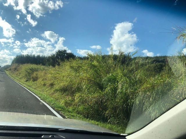 Fazenda-Sítio-Chácara, 363 hectares - Foto 2