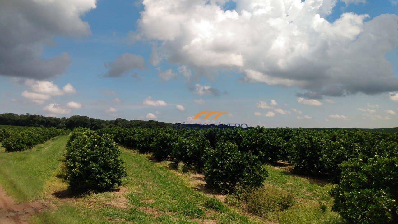 Fazenda à venda, 1694000M2 - Foto 1